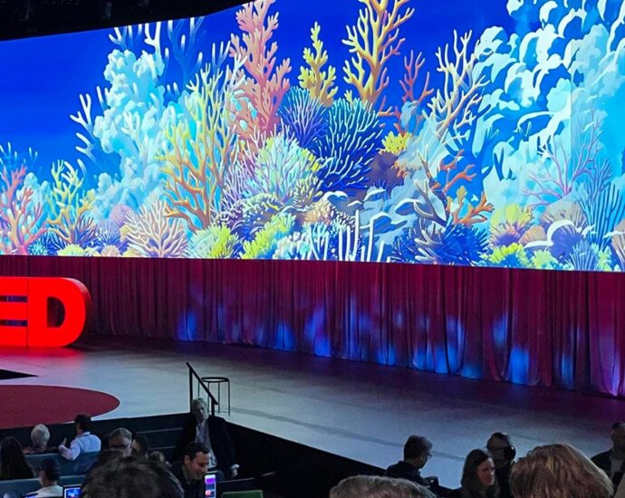 Διδάγματα από το TED 2026