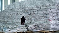 Χιλιάδες αιτήσεις μεταναστών για νομιμοποίηση στην Ισπανία
